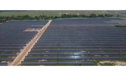 Solar PV Dominates Colombia’s Firm Energy Auction