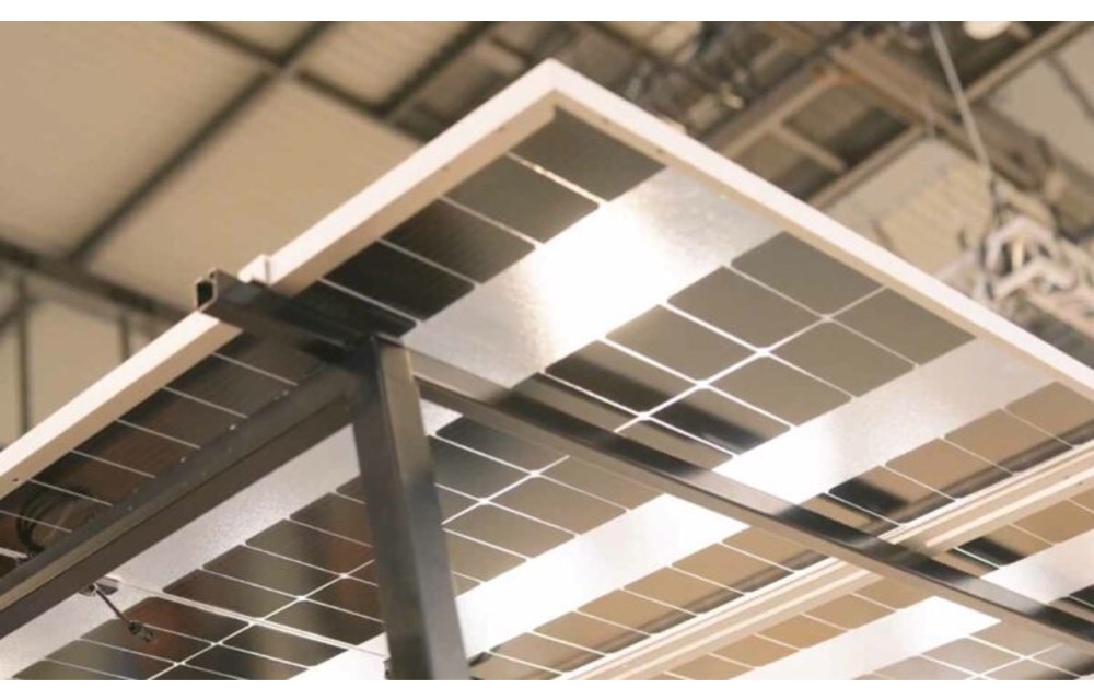 Semi Transparent HJT Solar Modules For Agrivoltaics