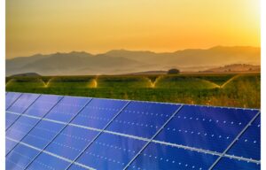 Italy Publishes Decree For Agrivoltaic Deployment