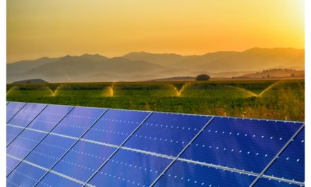Italy Publishes Decree For Agrivoltaic Deployment