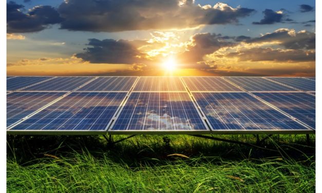 Indian Entities Launch Call For GWs of Solar PV Capacity