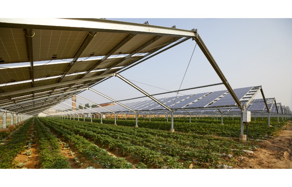 Investors Launch Lawsuit Against US Solar EBOS Manufacturer