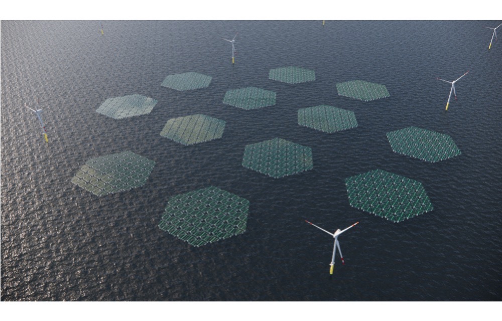 Large-Scale Hybrid Offshore Wind-Solar Farm In Italy