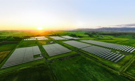 China Solar PV News Snippets - Trina Solar Powering New Zealand’s Largest Solar Farm & More From Pingmei LONGi, Yicheng New Energy, Autowell Technology, GCL Si