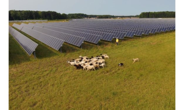 Dominion Energy Secures Green Signal For 764 MW New Solar