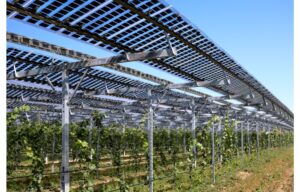 German Joint Venture For 500 MW Solar PV Development