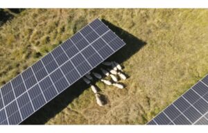 Solar Power Purchase Agreement For French Agrivoltaic Project